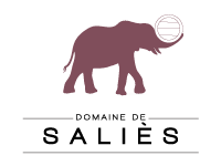 SALIES-LOGO